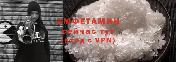 шишки Саяногорск