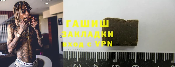 шишки Саяногорск