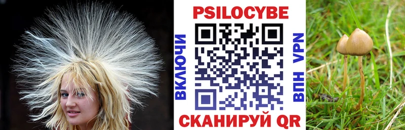 наркота Новоаннинский Галлюциногенные грибы ЛСД